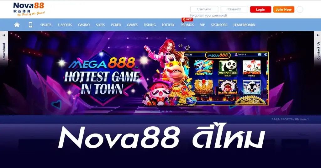 Nova88 ดีไหม